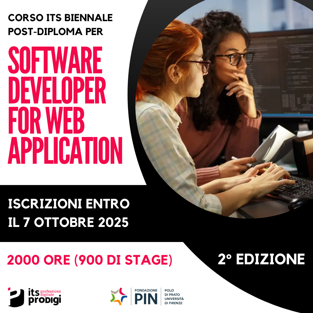 Its software developer pin