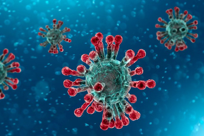 Coronavirus, informazioni per la comunità universitaria