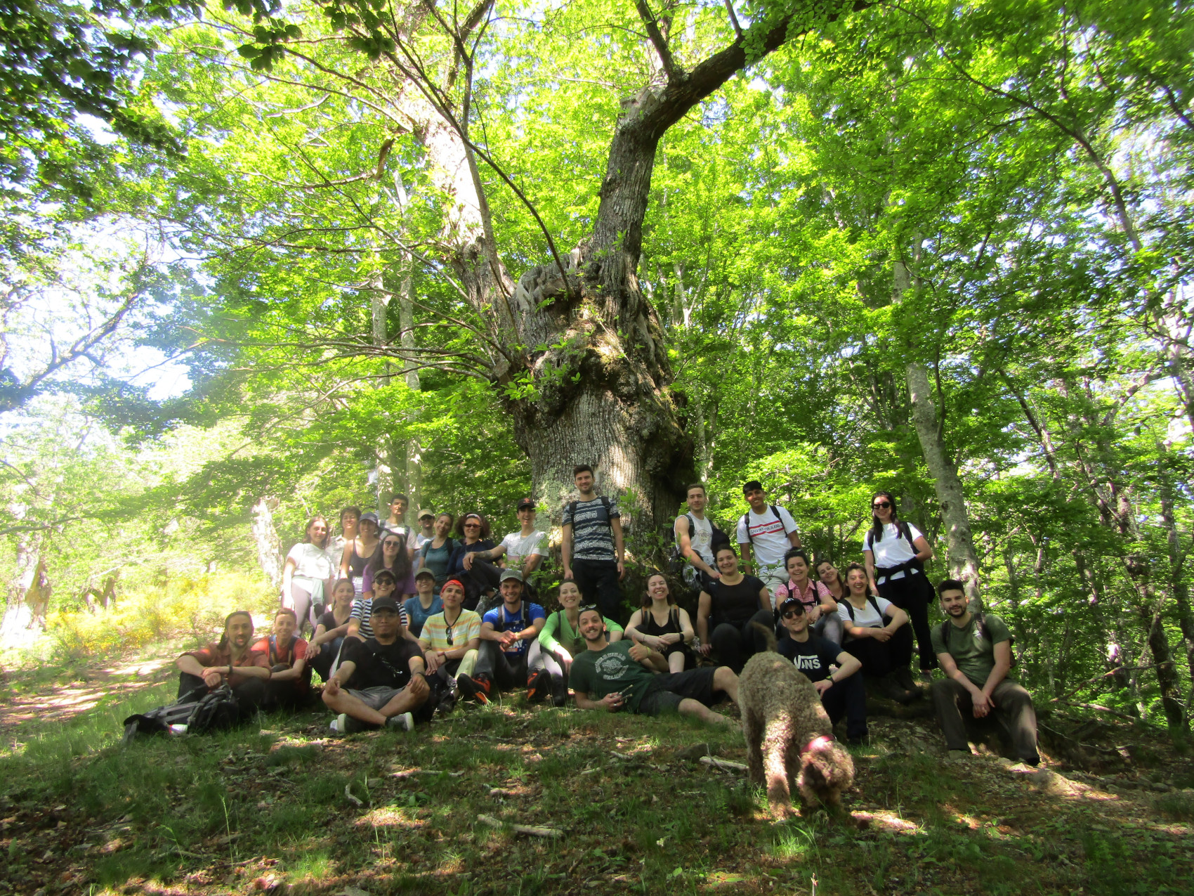 Seminario tematico residenziale “Progettare la centralità della montagna”