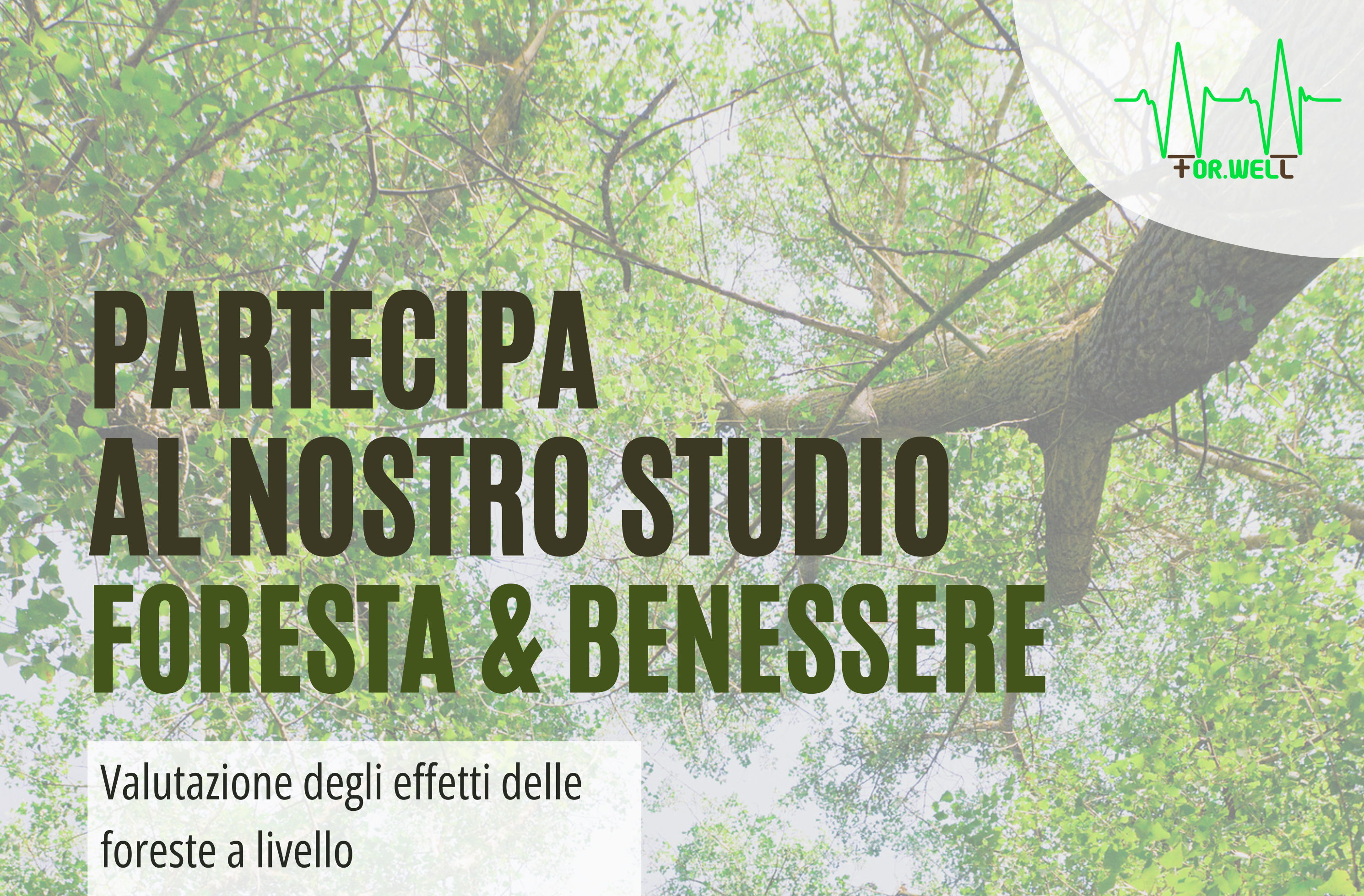 Partecipa al nostro esperimento di Realtà Virtuale presso il Laboratorio Perc_Lab