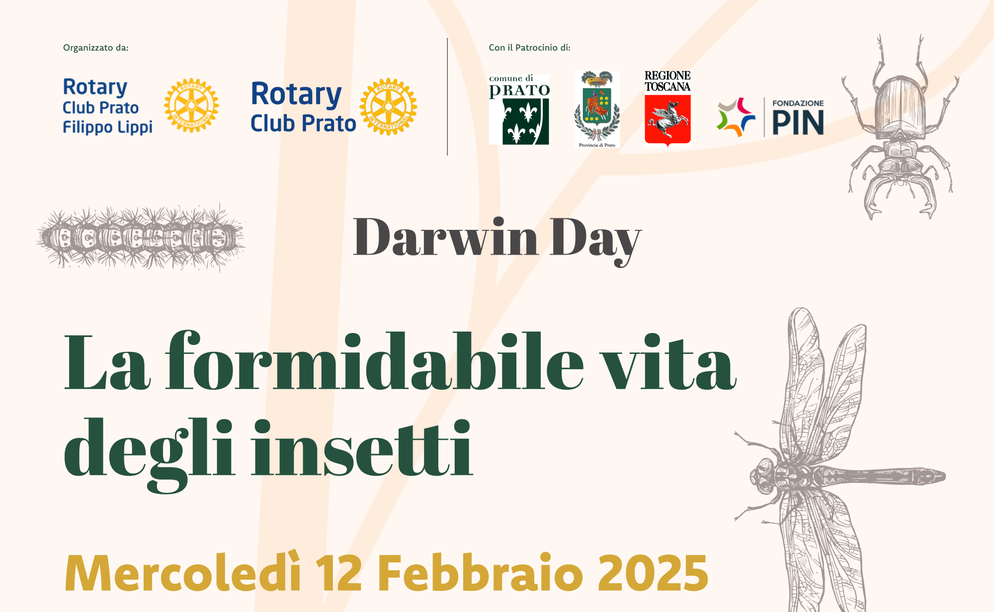 La formidabile vita degli insetti