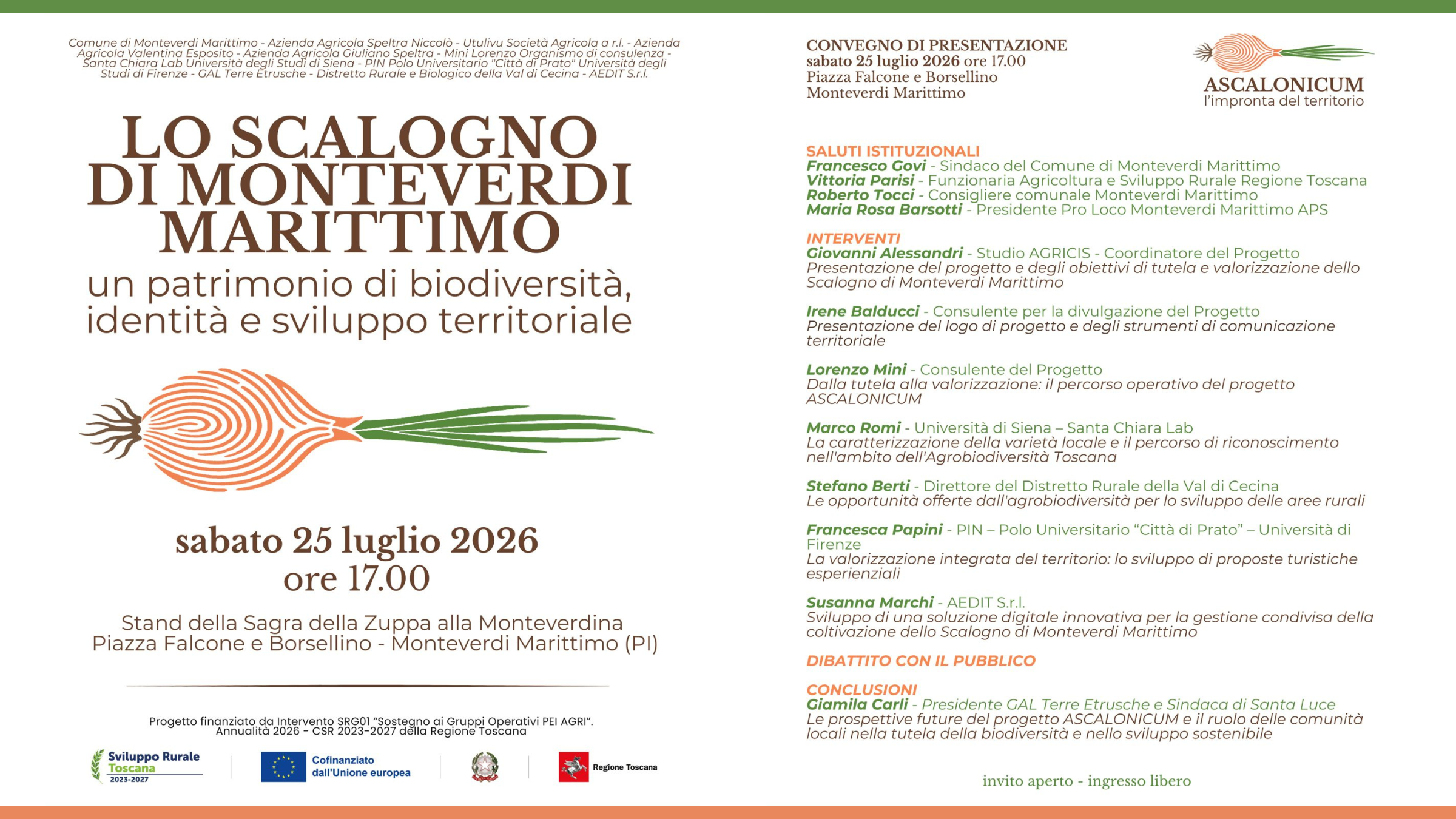 Lo Scalogno di Monteverdi Marittimo: il 25 luglio presentazione pubblica del progetto